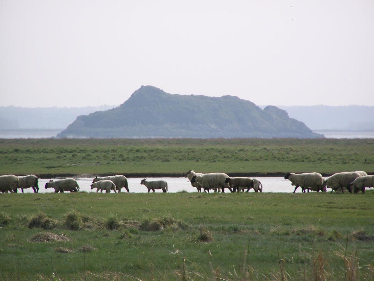 Charmante Maison De Pecheur En Baie Du Mont Saint Michel Genêts エクステリア 写真